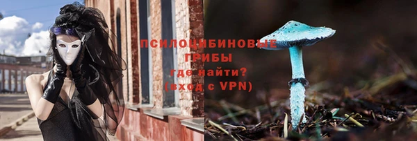 ПСИЛОЦИБИНОВЫЕ ГРИБЫ Лагань