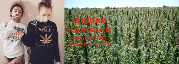 гидра Кулебаки