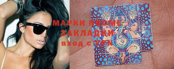 прущие грибы Красноперекопск