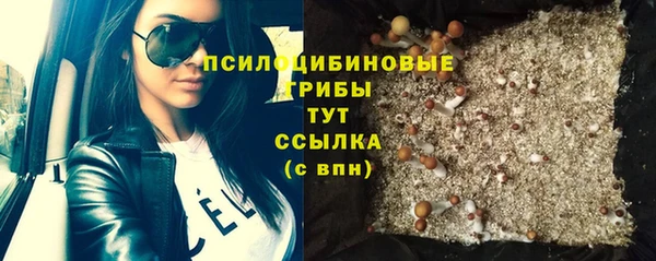 ПСИЛОЦИБИНОВЫЕ ГРИБЫ Лагань