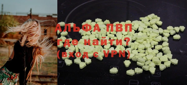 твердый Ладушкин
