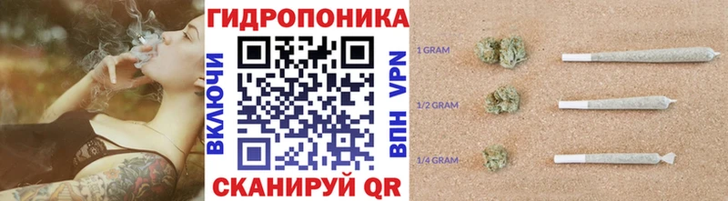 Бошки Шишки индика  купить наркотики цена  Куса 
